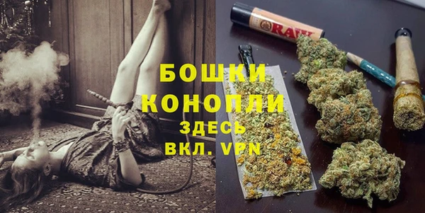 PSILOCYBIN Верхний Тагил