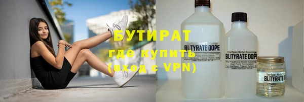 шишки Осташков