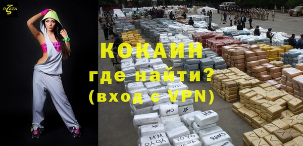 шишки Осташков