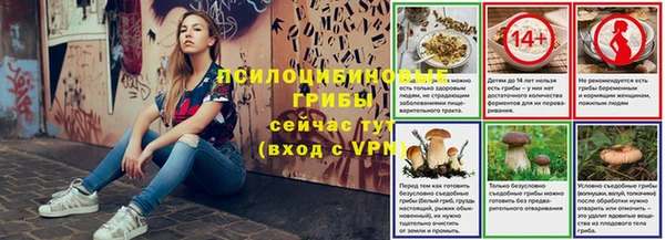 PSILOCYBIN Остров