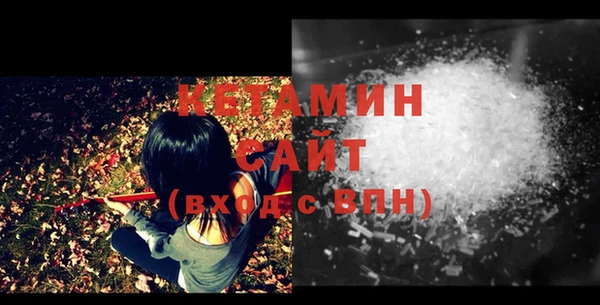 шишки Осташков