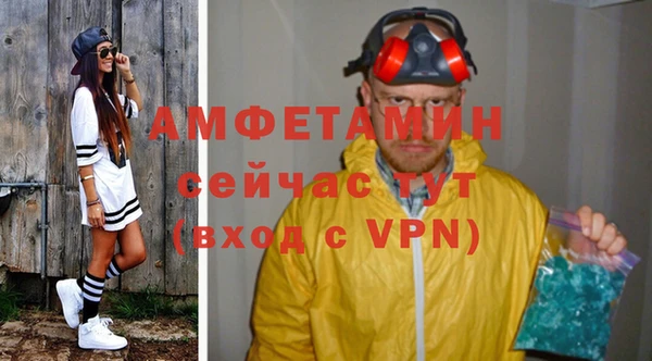 шишки Осташков