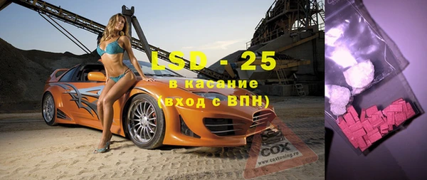 шишки Осташков