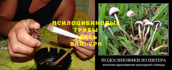 PSILOCYBIN Верхний Тагил