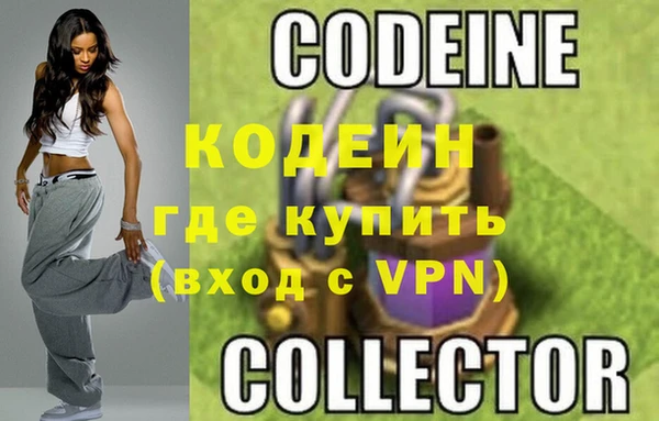 шишки Осташков