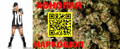 PSILOCYBIN Апшеронск