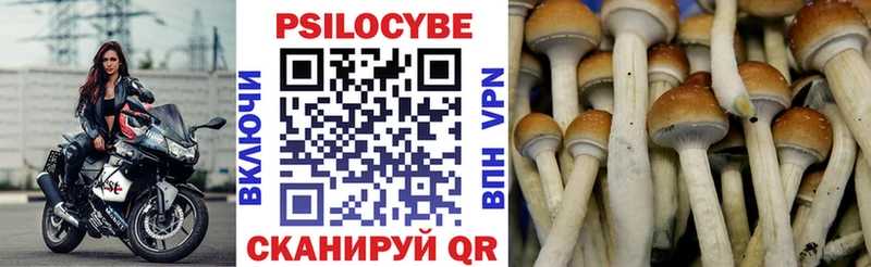 Галлюциногенные грибы MAGIC MUSHROOMS  blacksprut вход  Балабаново  как найти наркотики 
